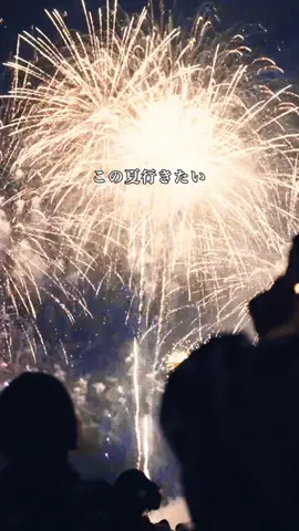 MIZUKI | 東京おでかけスポットのTikTok投稿