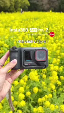 MIZUKI | 東京おでかけスポットのTikTok投稿