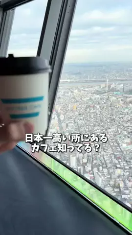 今日も映えたいかわいのTikTok投稿