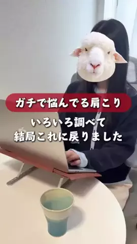 節約女の毎日出費のTikTok投稿