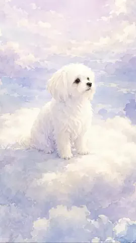 犬猫総合製薬株式会社のTikTok投稿