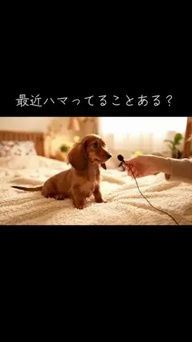 犬猫総合製薬株式会社のTikTok投稿