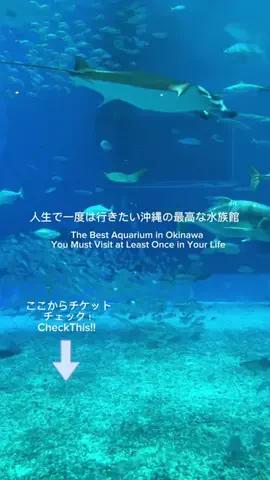 jennifer_eyesのTikTok投稿