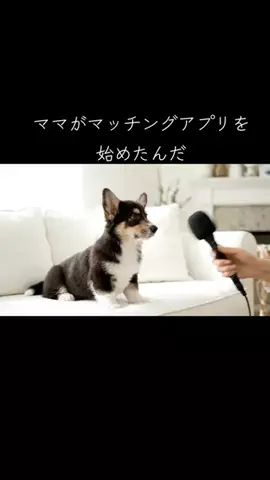 犬猫総合製薬株式会社のTikTok投稿
