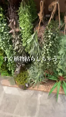 rina.のTikTok投稿
