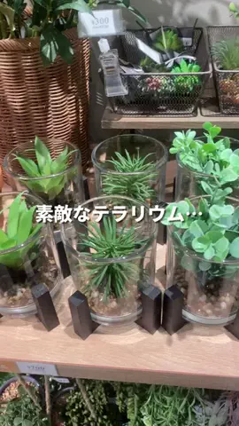 rina.のTikTok投稿