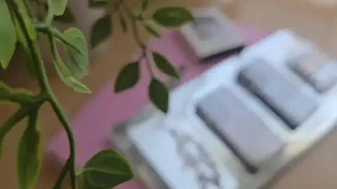 Manami🦎のTikTok投稿