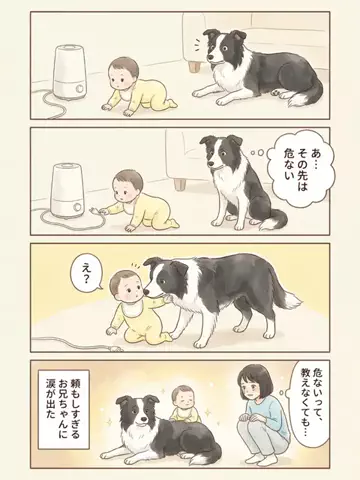 都内のチワワのTikTok投稿