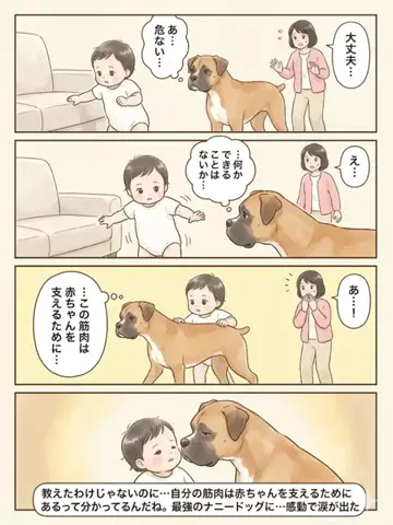 都内のチワワのTikTok投稿