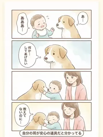 都内のチワワのTikTok投稿
