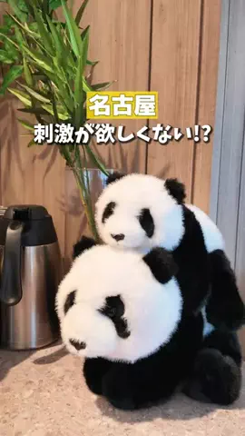 ココなご | 名古屋おでかけ情報のTikTok投稿