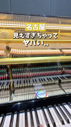 ココなご | 名古屋おでかけ情報のTikTok投稿