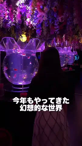 ココなご | 名古屋おでかけ情報のTikTok投稿
