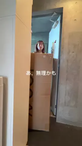 ホノ I 晩酌読書がすき🍶📚のTikTok投稿