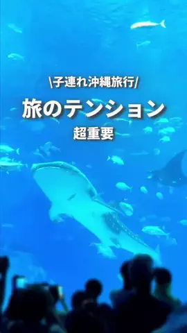 きなこ|大阪ママのTikTok投稿