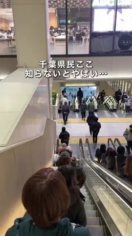 千葉県お出かけスポット🚗💨すずのTikTok投稿