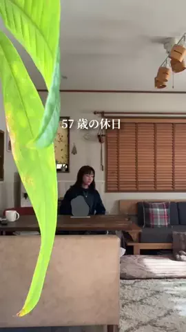 ゆみ/50代を全力で楽しむ主婦の暮らしのTikTok投稿