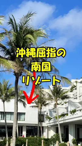 おっきー 🍍沖縄人のTikTok投稿