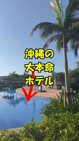 おっきー 🍍沖縄人のTikTok投稿