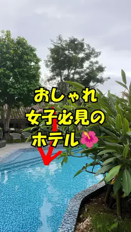 おっきー 🍍沖縄人のTikTok投稿