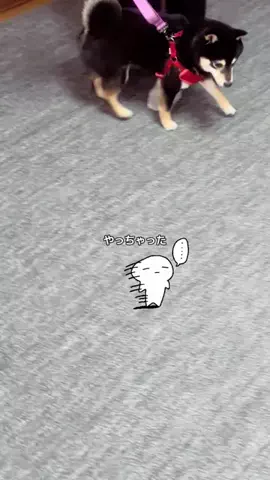 オリオリ🧸のTikTok投稿