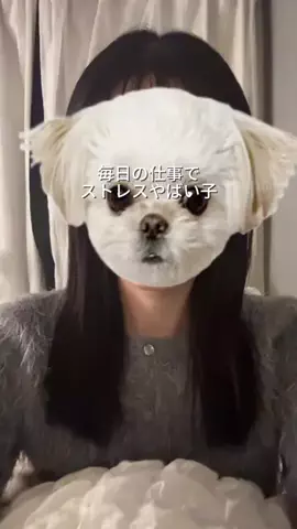 TinaのTikTok投稿