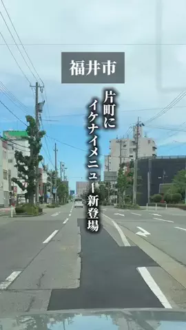 福ちゃんのTikTok投稿