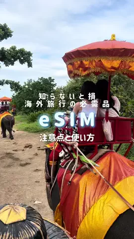 かしこのTikTok投稿