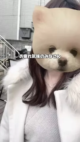 TinaのTikTok投稿