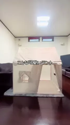 オリオリ🧸のTikTok投稿
