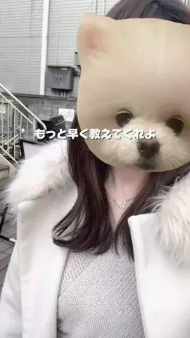 TinaのTikTok投稿