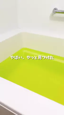 TinaのTikTok投稿