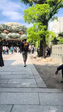 kendraのTikTok投稿