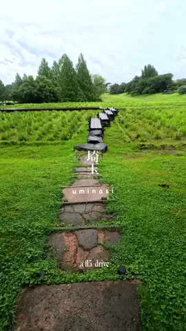 EASK | 車旅のTikTok投稿