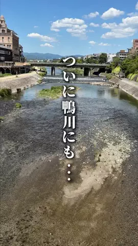 たべとく| 社会人が喜ぶ京都グルメのTikTok投稿
