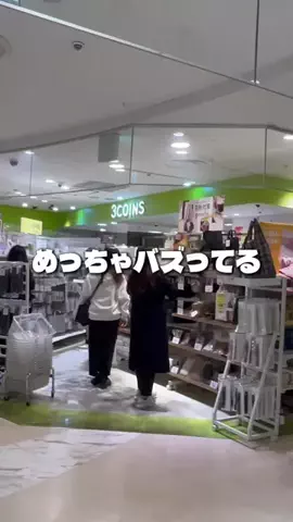 しいちゃまのTikTok投稿