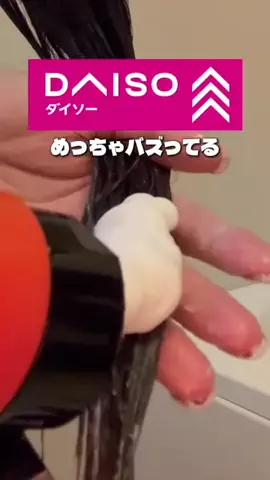 しいちゃまのTikTok投稿