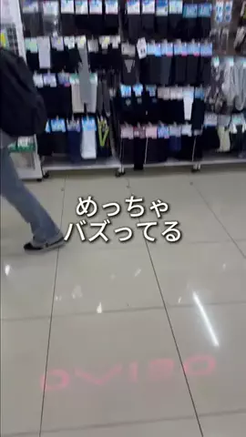しいちゃまのTikTok投稿
