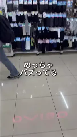 しいちゃまのTikTok投稿