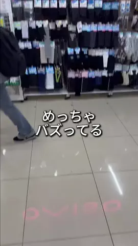 しいちゃまのTikTok投稿