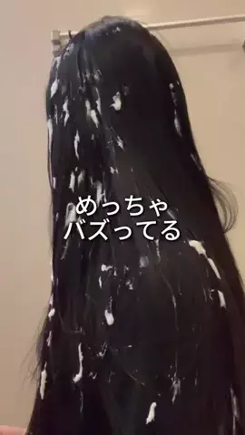 しいちゃまのTikTok投稿