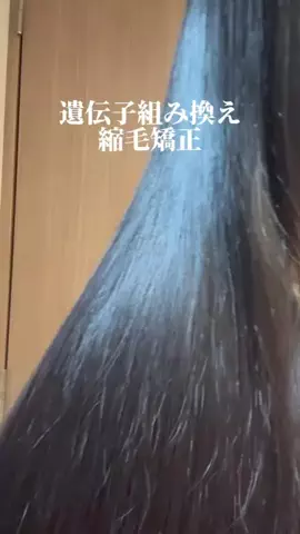 しいちゃまのTikTok投稿