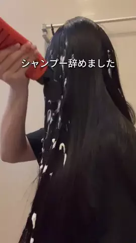 しいちゃまのTikTok投稿