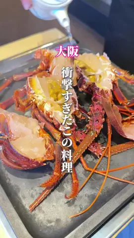 ころたびのTikTok投稿