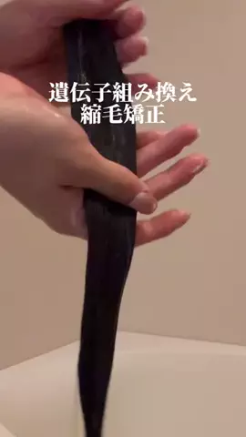 しいちゃまのTikTok投稿