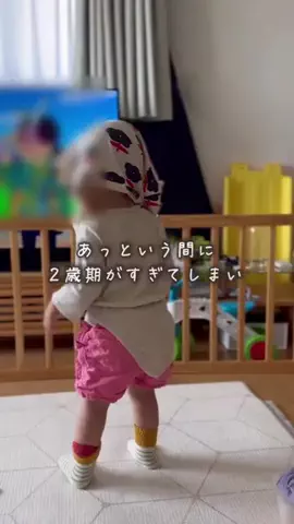 しまうまプリントのTikTok投稿