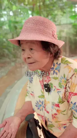 🌺南の島のおばーと孫🏝のTikTok投稿