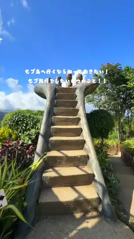 Maru【全国旅する愛知県民】のTikTok投稿