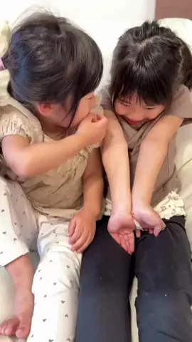 しまうまプリントのTikTok投稿