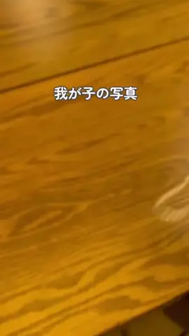 しまうまプリントのTikTok投稿
